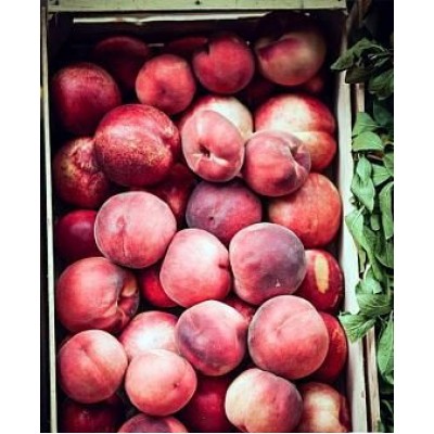 Саженец персика "Советский" Саженец персика "Советский"