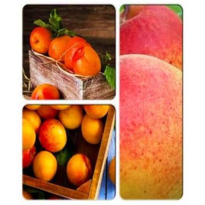 Абрикос > коллекция из 3-х сортов: Абрикос Аврора => Абрикос Спринг Блаш => Абрикос Хачалаба Абрикос > коллекция из 3-х сортов: Абрикос Аврора => Абрикос Спринг Блаш => Абрикос Хачалаба