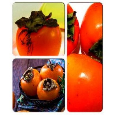 Хурма > коллекция из 3-х сортов: Хурма Бычье сердце => Хурма Виргинская крупноплодная => Хурма Гора Говерла Хурма > коллекция из 3-х сортов: Хурма Бычье сердце => Хурма Виргинская крупноплодная => Хурма Гора Говерла