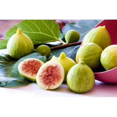 Саженец инжира "Белая Фига" Саженец инжира "Белая Фига"